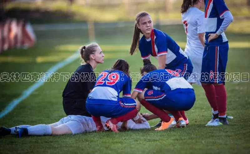 尊龙官方app下载