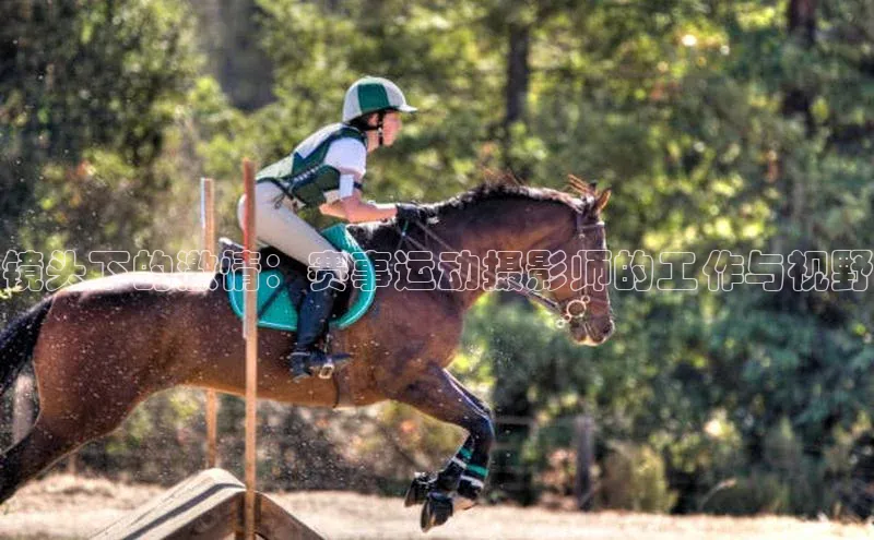 尊龙官网登录人生就是博登录